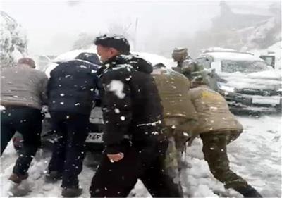 हिमाचल पुलिस को सलाम! लाहौल-स्पीति में भारी बर्फबारी के बीच फंसे सैंकड़ों पर्यटक, DSP ने संभाला मोर्चा...100 वाहन रैस्क्यू