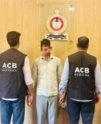 पलवल में 3 हजार रुपये रिश्वत लेते पटवारी का निजी सहायक गिरफ्तार, हल्का पटवारी फरार