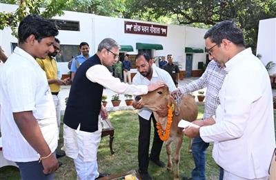 राज्यपाल प्रो. असीम कुमार घोष ने हरियाणा लोक भवन में भव्य गौशाला का किया उद्घाटन, नन्ही गाय का नाम रखा ‘गौरी’