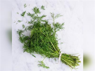 सोआ में छिपे हैं सेहत के लिए जरूरी पोषक तत्व, शरीर को बीमारियों से लड़ने में करता है मदद